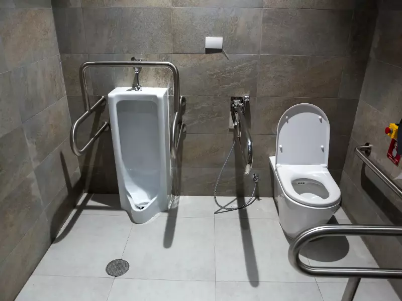 Image of bathroom with disability rails